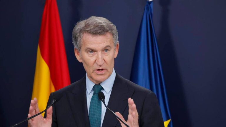 Alberto Núñez Feijóo, presidente del Partido Popular
